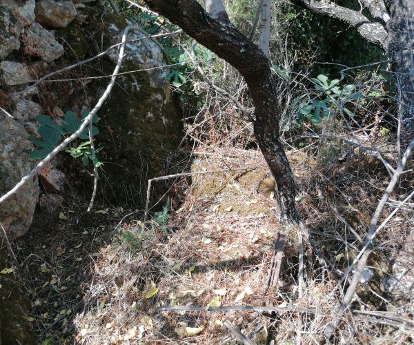 Image No.33-Maison de 3 chambres à vendre à Kardamyli