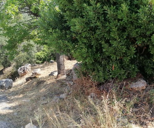 Image No.36-Maison de 3 chambres à vendre à Kardamyli