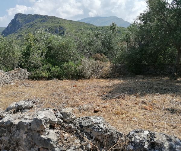 Image No.6-Maison de 3 chambres à vendre à Kardamyli