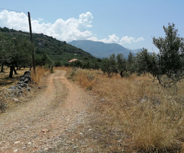 Image No.10-Terrain à vendre à Kardamyli