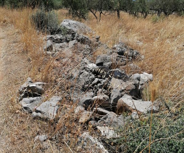 Image No.11-Terrain à vendre à Kardamyli