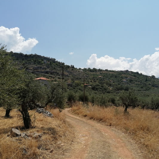 Image No.2-Terrain à vendre à Kardamyli