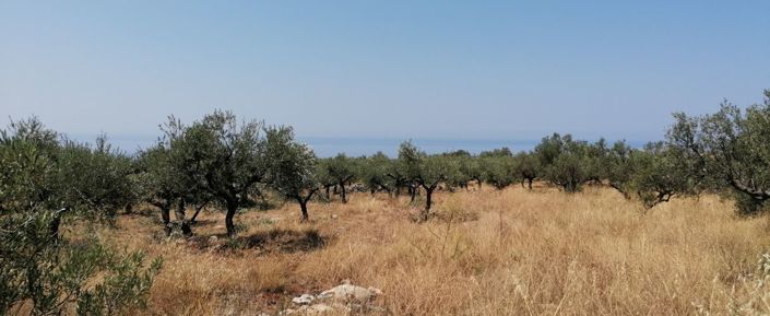 Image No.3-Terrain à vendre à Kardamyli