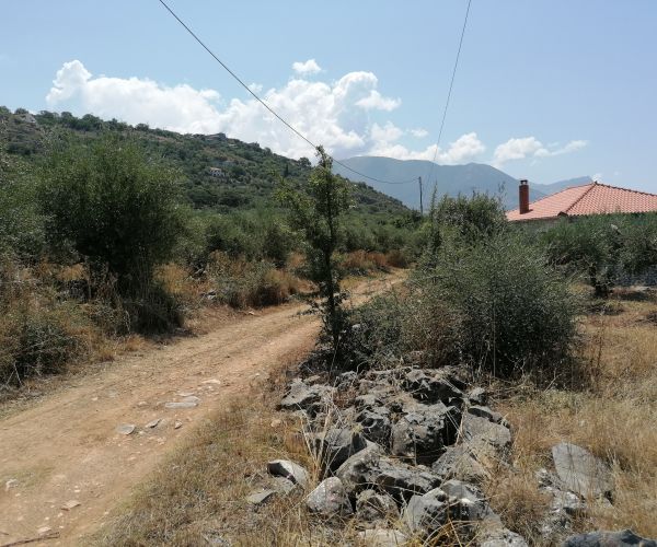 Image No.5-Terrain à vendre à Kardamyli