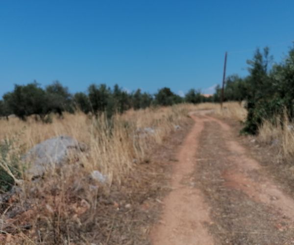 Image No.6-Terrain à vendre à Kardamyli