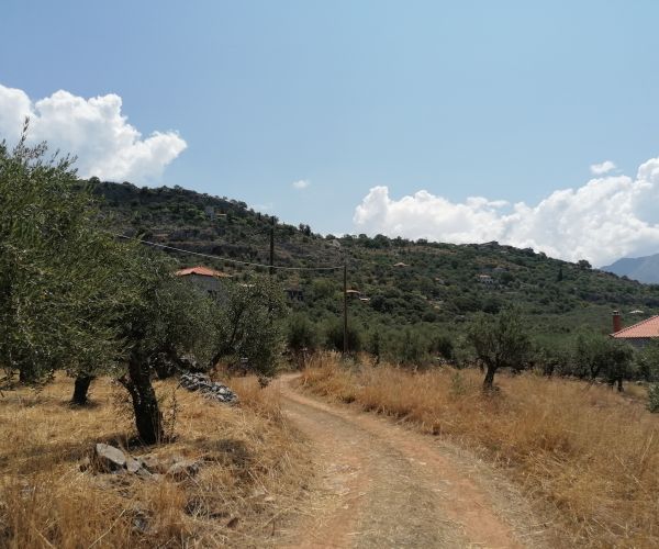 Image No.8-Terrain à vendre à Kardamyli