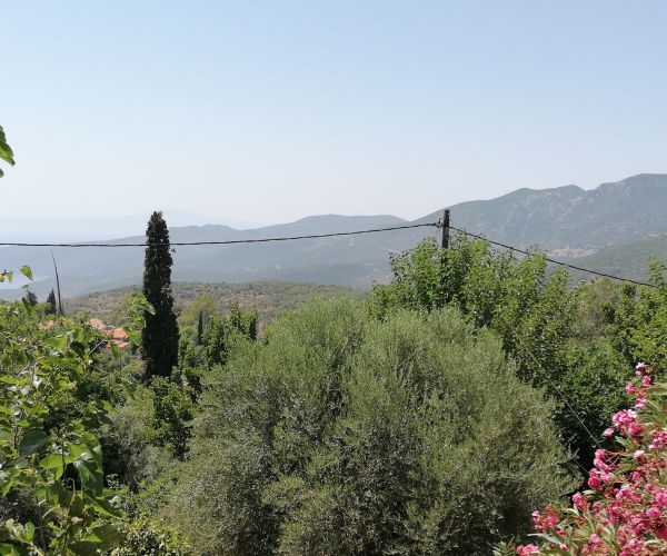 Image No.16-Maison de 2 chambres à vendre à Kardamyli