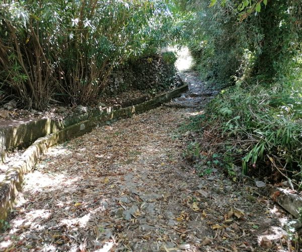 Image No.31-Maison de 2 chambres à vendre à Kardamyli