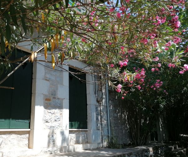 Image No.4-Maison de 2 chambres à vendre à Kardamyli