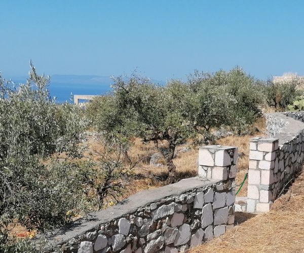 Image No.4-Terrain à vendre à Kardamyli