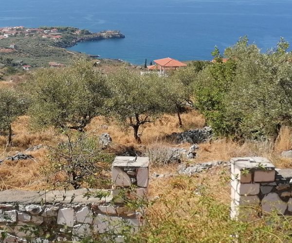 Image No.5-Terrain à vendre à Kardamyli