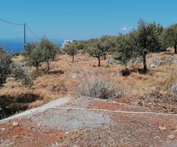 Image No.8-Terrain à vendre à Kardamyli