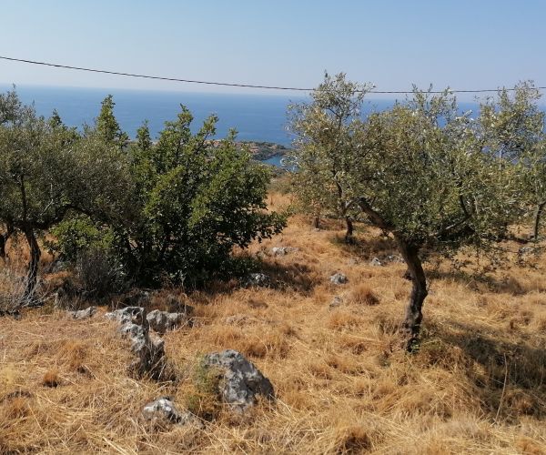 Image No.10-Terrain à vendre à Kardamyli