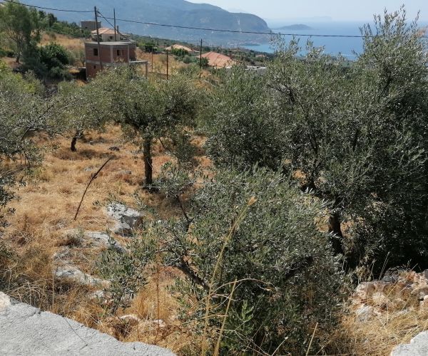 Image No.13-Terrain à vendre à Kardamyli