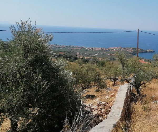 Image No.14-Terrain à vendre à Kardamyli