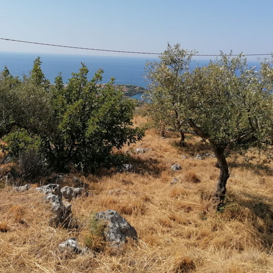 Image No.2-Terrain à vendre à Kardamyli