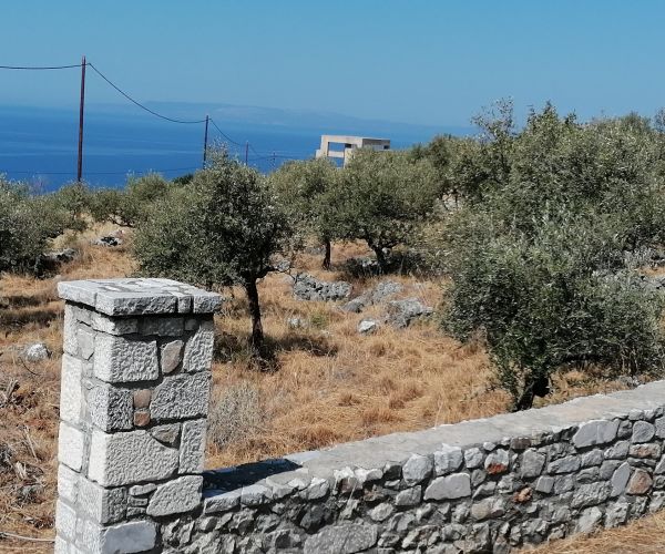 Image No.6-Terrain à vendre à Kardamyli