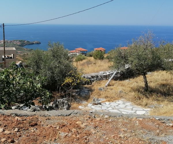 Image No.7-Terrain à vendre à Kardamyli