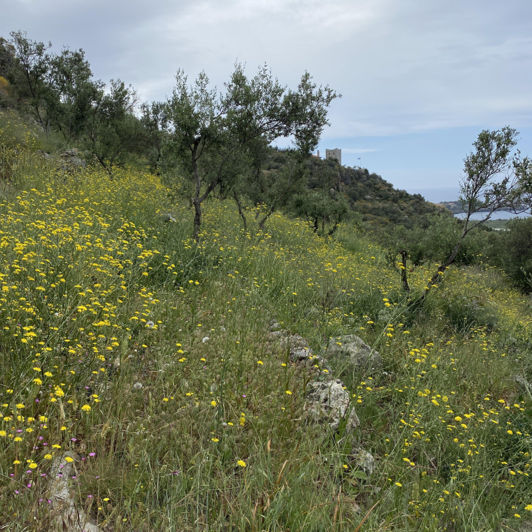 Image No.2-Terrain à vendre à Agios Nikolaos
