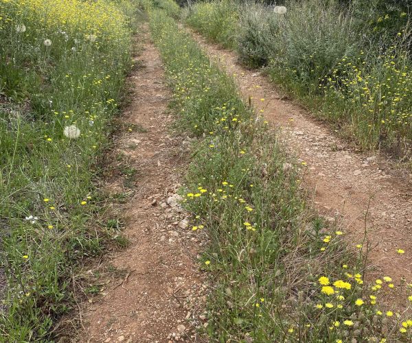 Image No.6-Terrain à vendre à Agios Nikolaos