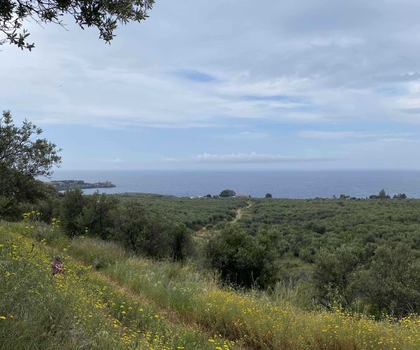 Image No.7-Terrain à vendre à Agios Nikolaos