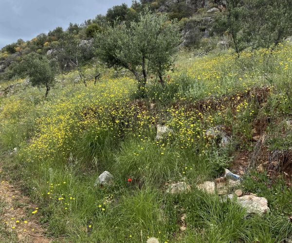 Image No.8-Terrain à vendre à Agios Nikolaos