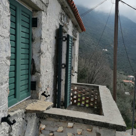 img202303101121092025-02-06-124349dnhy