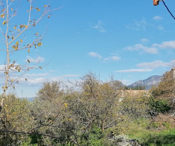 Image No.10-Maison de 3 chambres à vendre à Kardamyli