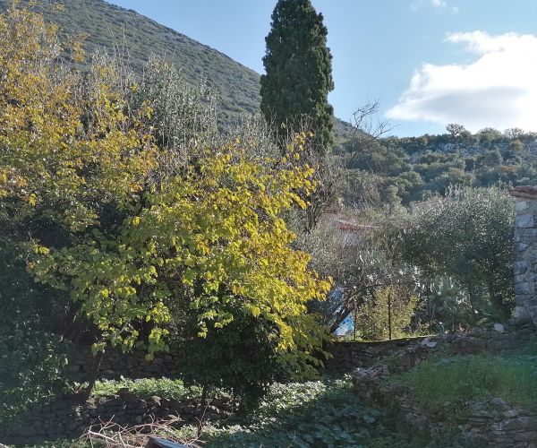 Image No.9-Maison de 3 chambres à vendre à Kardamyli