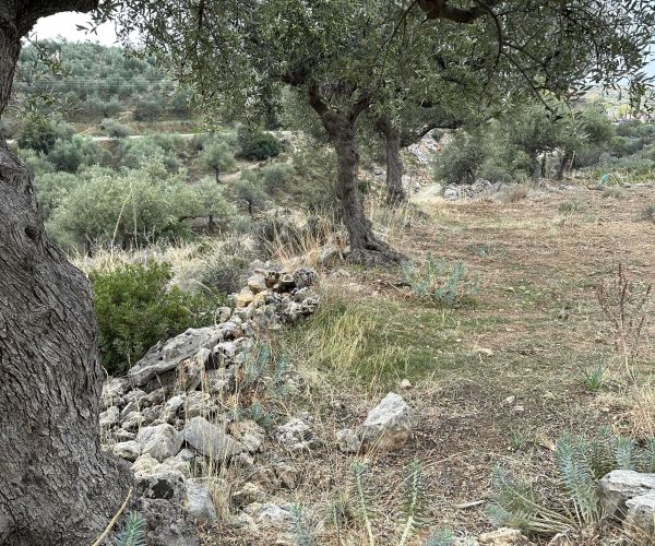 Image No.5-Terrain à vendre à Kardamyli