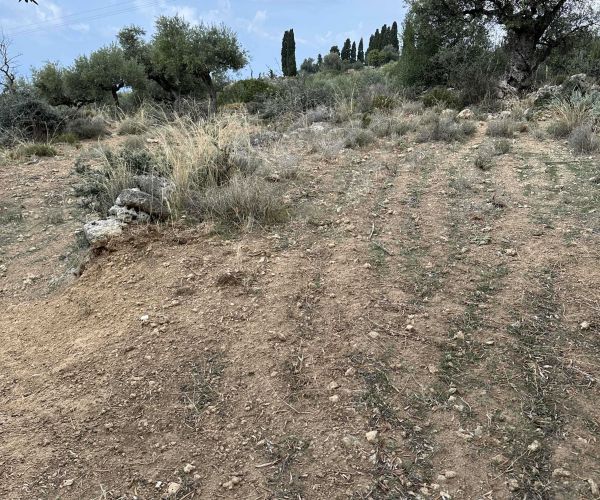 Image No.9-Terrain à vendre à Kardamyli