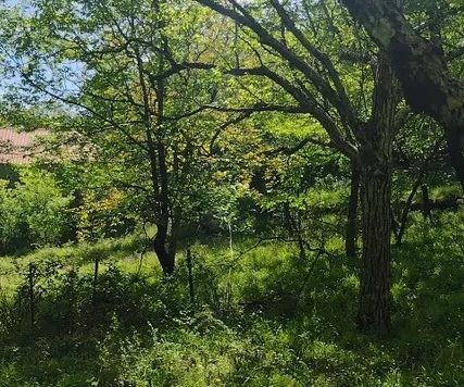 Image No.14-Maison de 1 chambre à vendre à Grèce