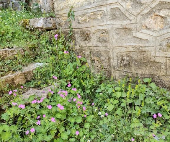 Image No.15-Maison de 1 chambre à vendre à Grèce