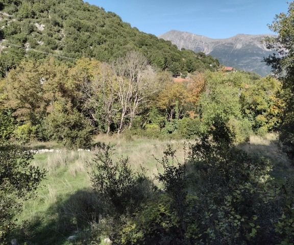 Image No.17-Maison de 1 chambre à vendre à Grèce