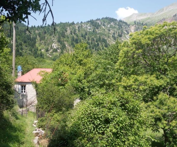 Image No.5-Maison de 1 chambre à vendre à Grèce