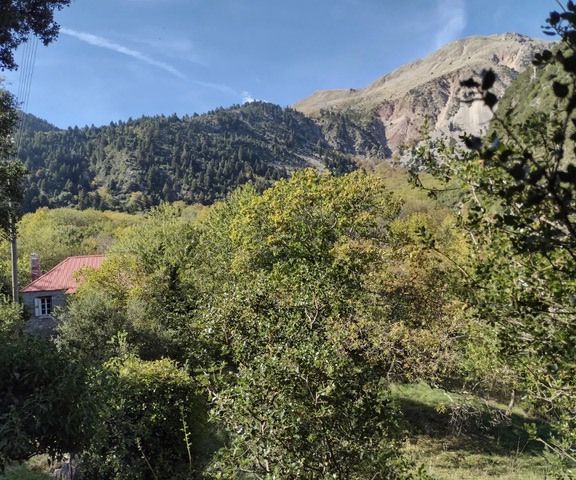 Image No.18-Maison de 1 chambre à vendre à Grèce