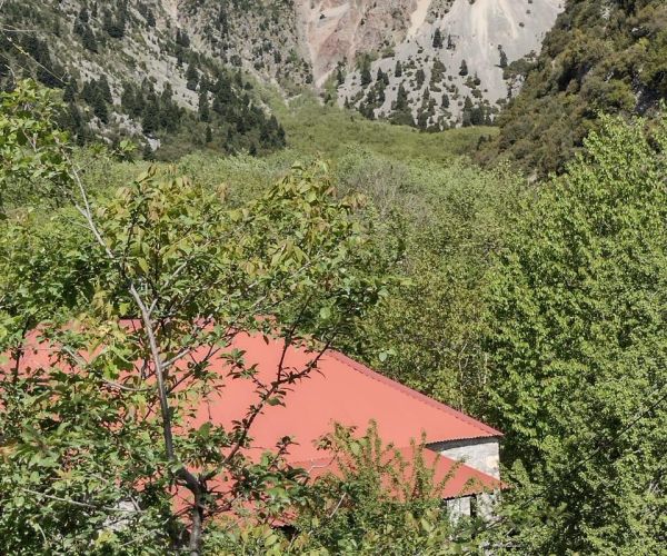 Image No.6-Maison de 1 chambre à vendre à Grèce