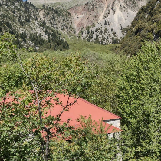 Image No.2-Maison de 1 chambre à vendre à Grèce