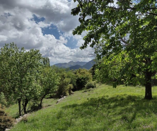 Image No.7-Maison de 1 chambre à vendre à Grèce