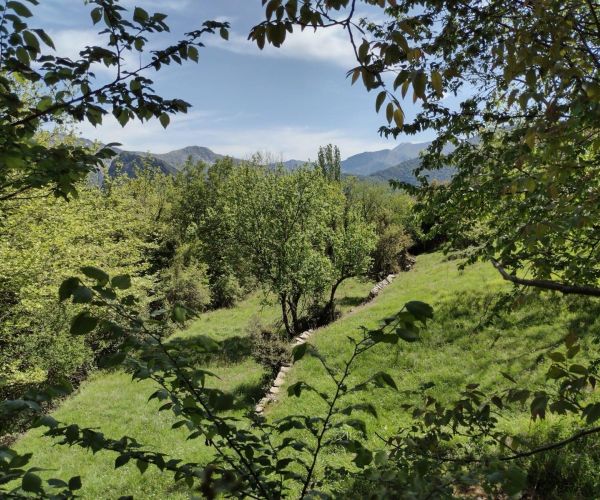 Image No.8-Maison de 1 chambre à vendre à Grèce