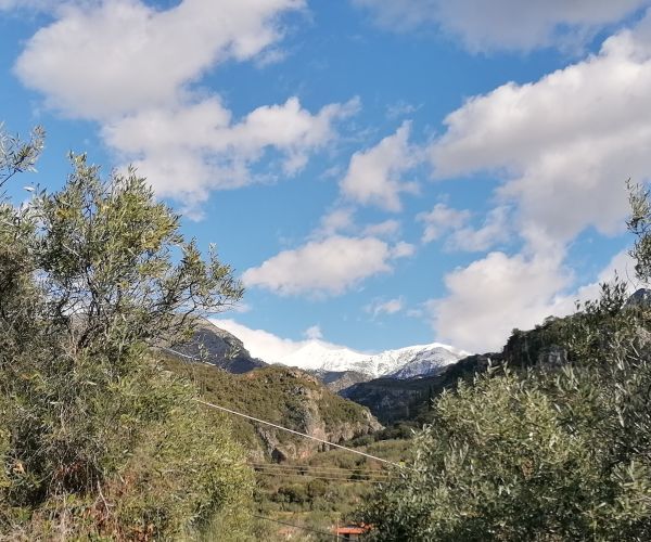 Image No.13-Maison de 5 chambres à vendre à Kardamyli