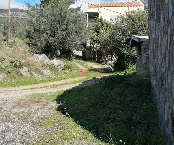 Image No.8-Maison de 5 chambres à vendre à Kardamyli