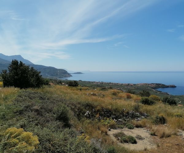 Image No.28-Maison de 2 chambres à vendre à Kardamyli