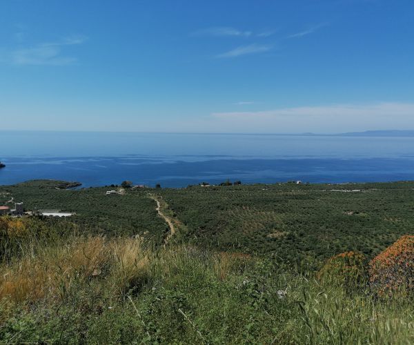 Image No.8-Maison de 2 chambres à vendre à Kardamyli