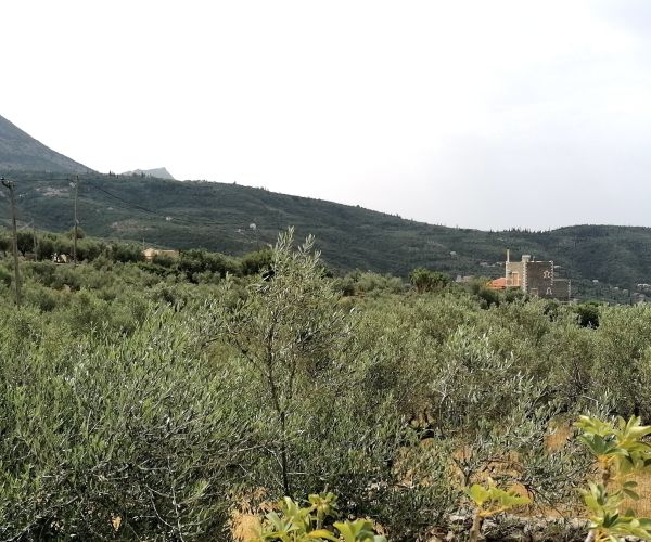 Image No.21-4 Bed House for sale