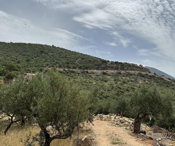 Image No.12-Plot for sale