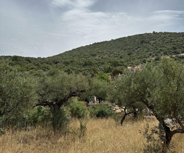 Image No.13-Plot for sale