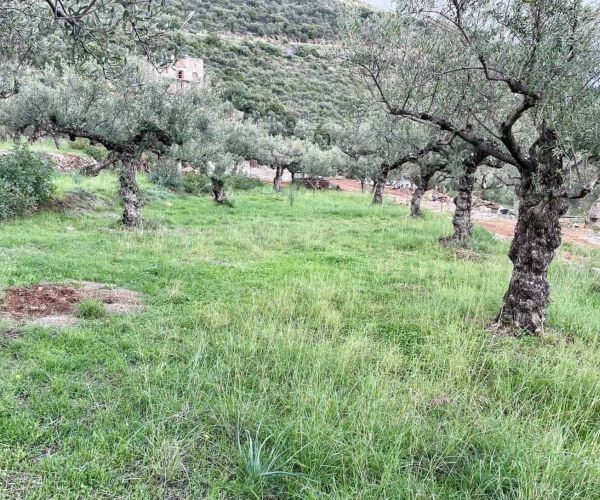 Image No.6-Plot for sale