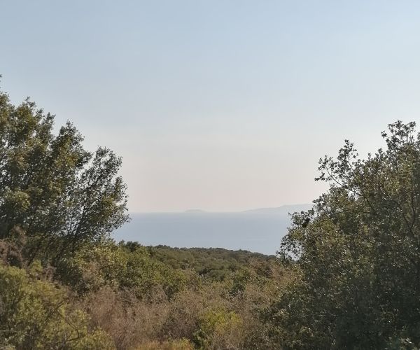 Image No.19-Terrain à vendre à Kardamyli