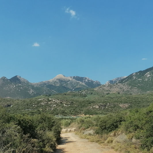 Image No.2-Terrain à vendre à Kardamyli